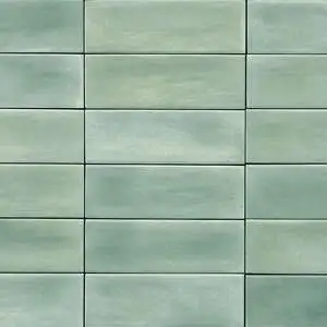 Aruba Moss Matt 2×6