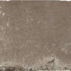 Field Tile 2.875” X 9.75” Clove