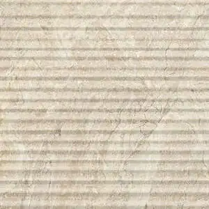 Impero Reale 12×24 Honed Curva