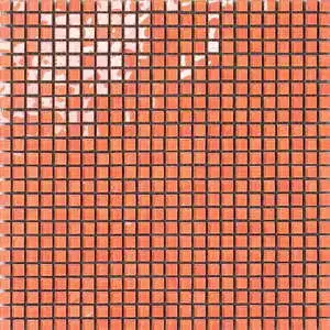 Aragosta Mosaico 1x1