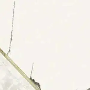 Decoro Slash Artic Decoro Slash Artic