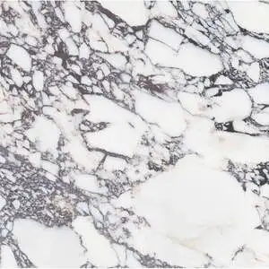 Viola Roccia 24 Picket