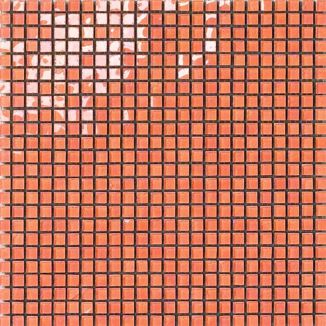 Aragosta Mosaico 1x1