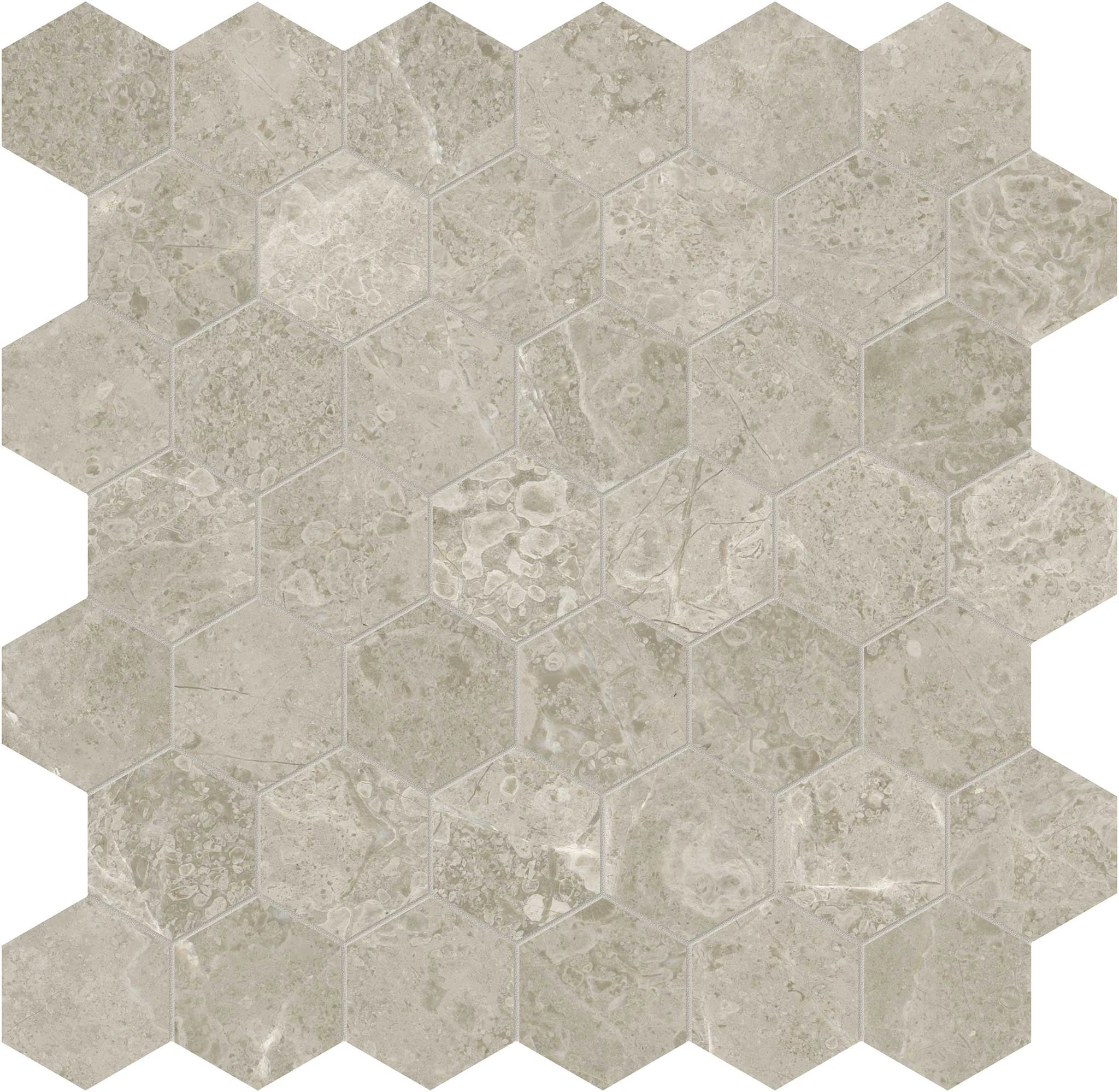 Ritz Gray 2 Hexagon Mosaic