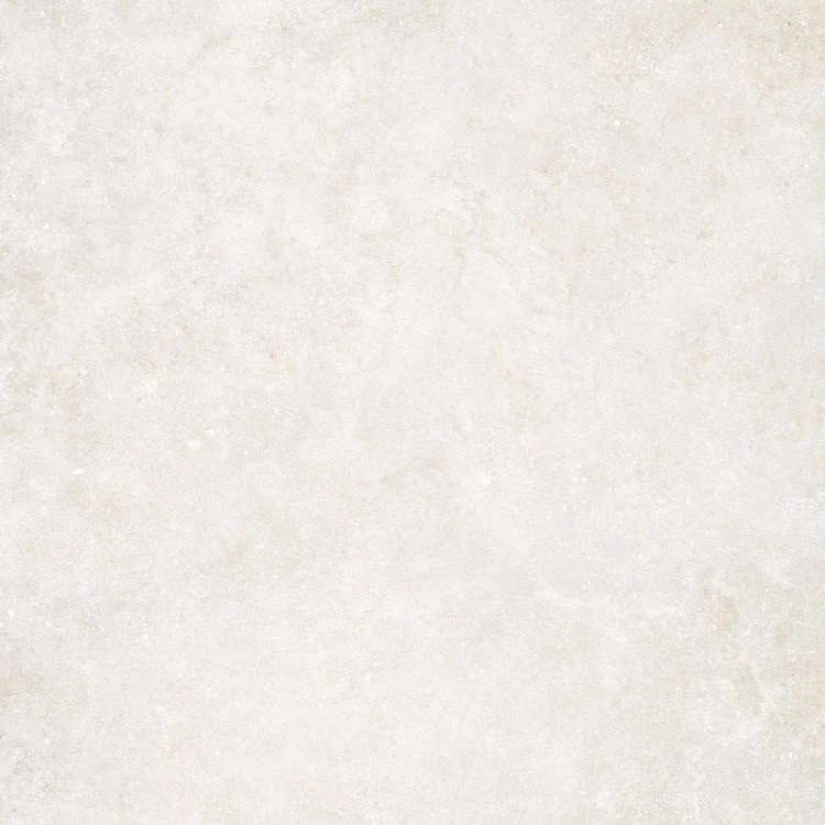 Untamed Wander White