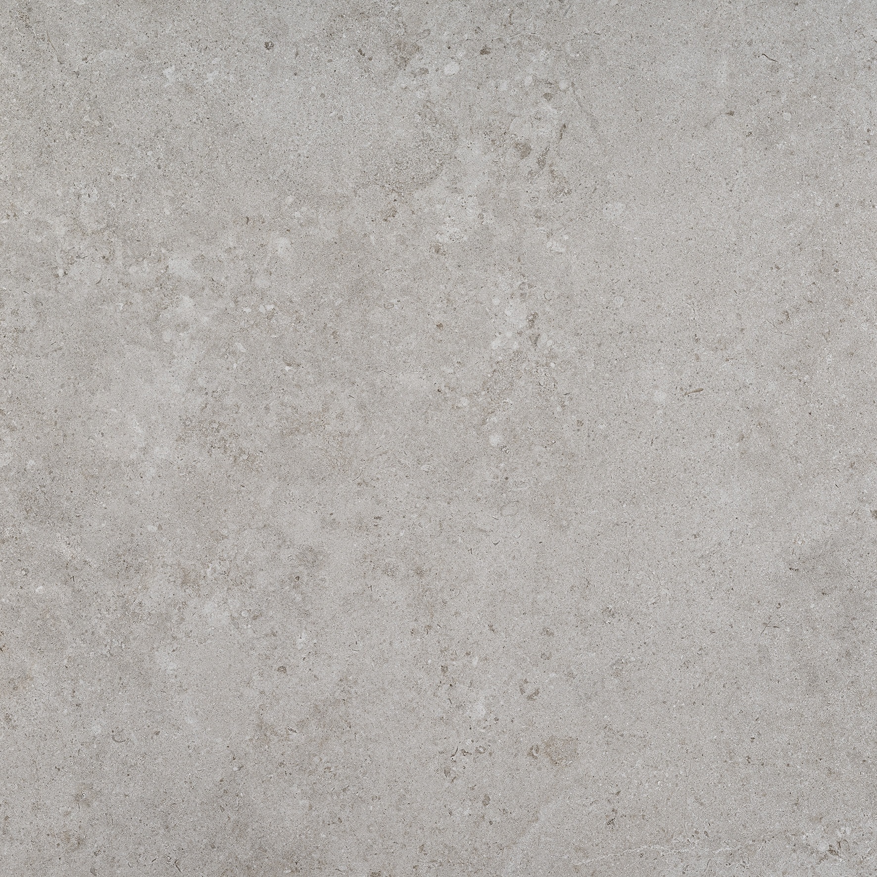 Silver - porcelain tile Alba Stone collection by Pamesa Ceramica in ...