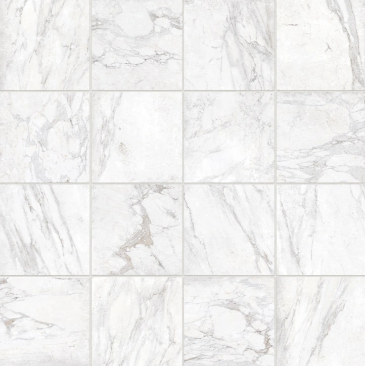Antica Roma 12" x 12" Matte Porcelain Tile in Bianco