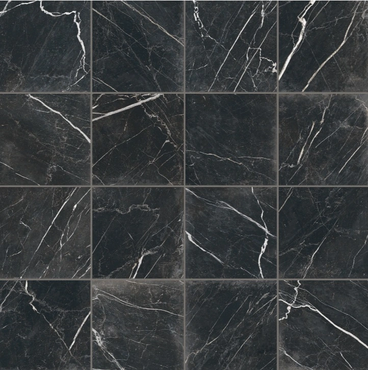 Antica Roma 12" x 12" Matte Porcelain Tile in Nero