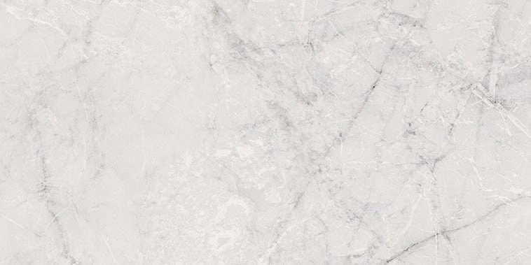 Atlantis White 24x48