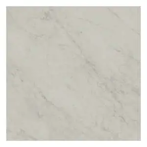 Basilica Carrara Matte Rectified