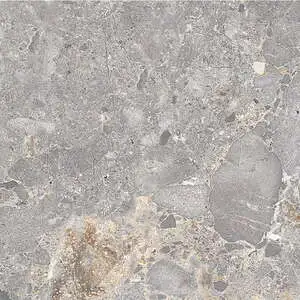 Coda 12x24 Stellata Matte