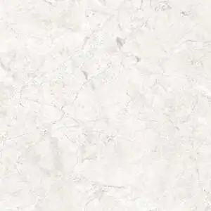 Forte 12x24 DCOF Matte