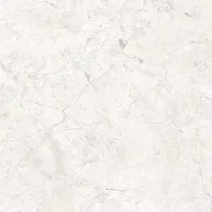 Timbre 12x24 Polished