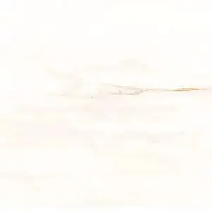 Ostinato 12x24 DCOF Matte