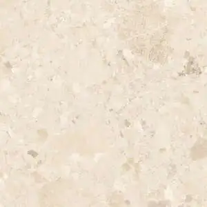 Arpeggio 12x24 DCOF Matte