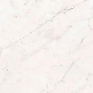 Libretto 12x24 Polished