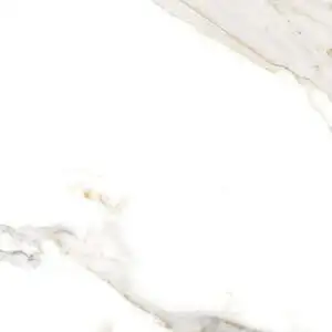 Outro 12x24 Polished