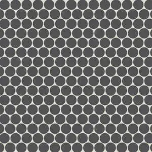 Penny Round Matte Porcelain Mosaic in Black Sea
