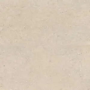 Poetry Stone 24" x 48" Matte Porcelain Field Tile in Beige