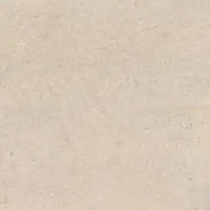 Poetry Stone 24" x 48" Matte Porcelain Field Tile in Beige