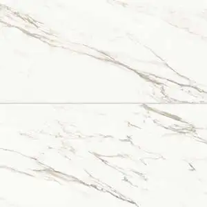 Honed Porcelain Field Tile in Calacatta Borghini Warm