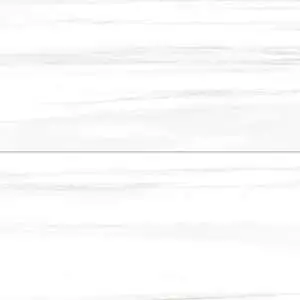 Prati 24" x 48" Honed Porcelain Field Tile in Dolomite