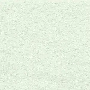 Refined Sandstone White Bocciardato