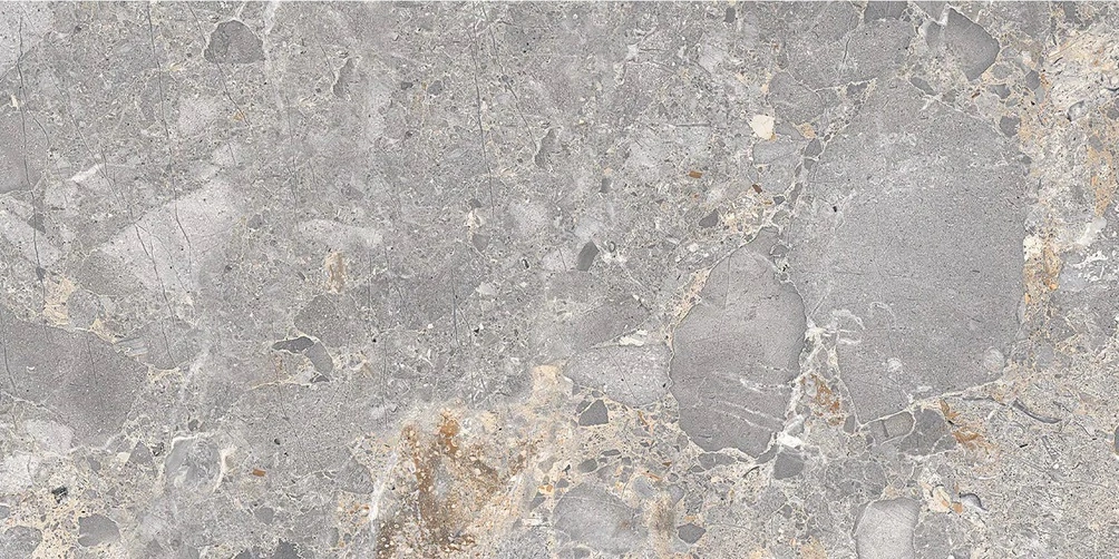 Coda 12x24 Stellata Matte