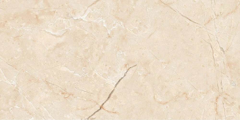 Andante 12x24 Stellata Matte