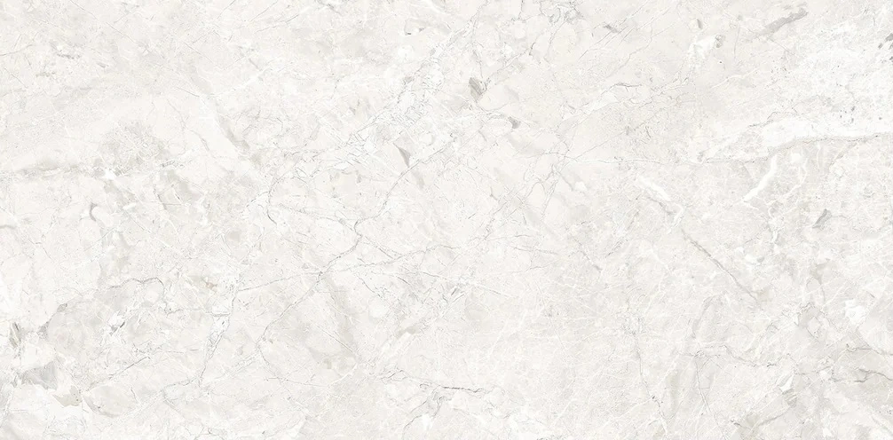 Forte 12x24 DCOF Matte