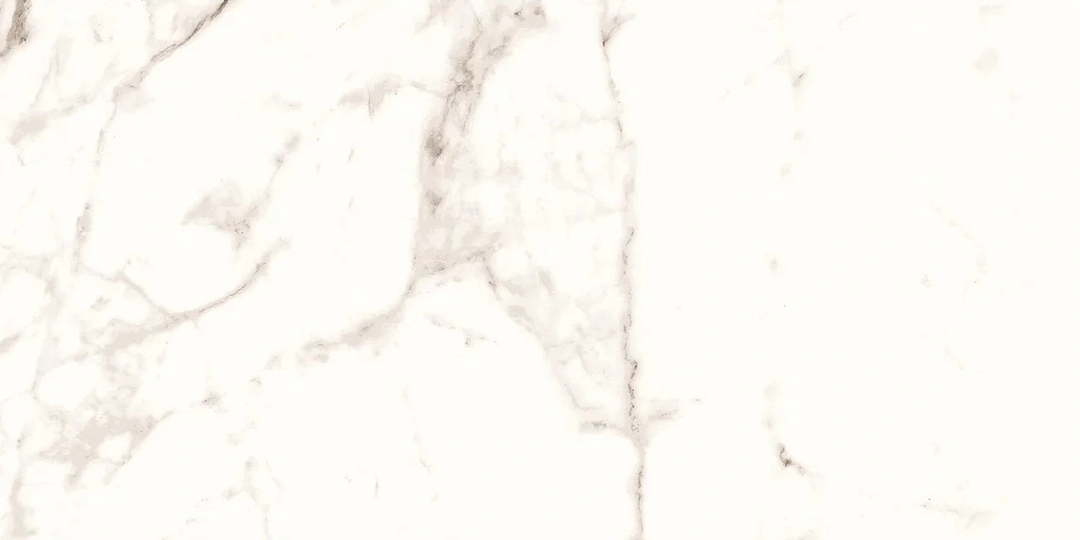 Overture 12x24 Polished