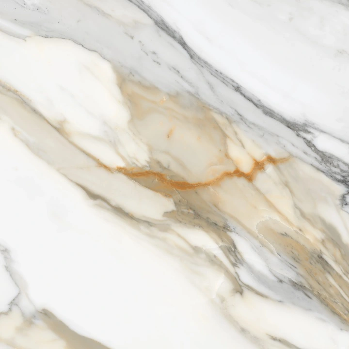 Calacatta Macchia Vecchia Honed, Polished