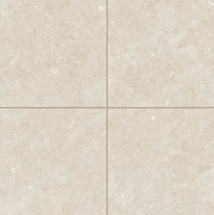 Soft Textured Matte Porcelain Tile in Light