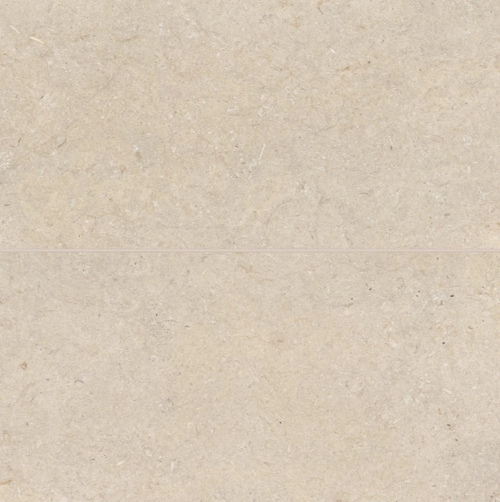 Poetry Stone 24" x 48" Matte Porcelain Field Tile in Beige
