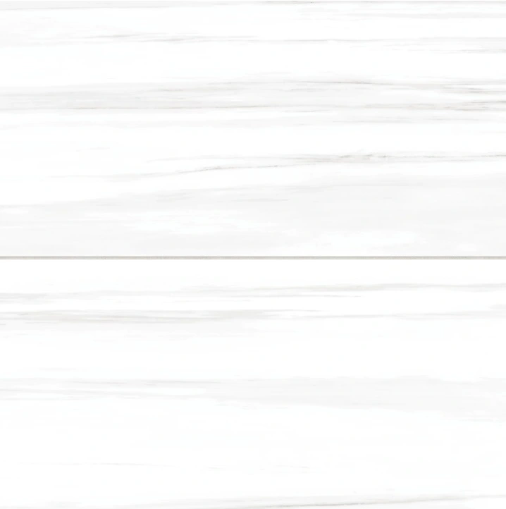 Prati 24" x 48" Honed Porcelain Field Tile in Dolomite