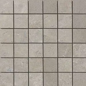 Earth Matte 2x2 Porcelain Mosaic