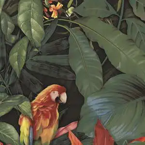 Decor Papagayo II