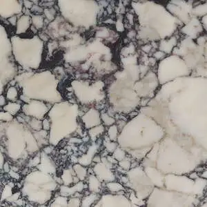 Calacatta Picasso Honed Marble Tile