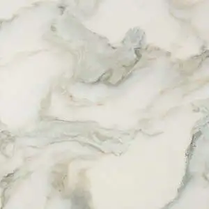 Calacatta Renaissance Honed Marble Tile