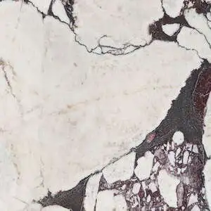Calacatta Viola Polished Marble Tile