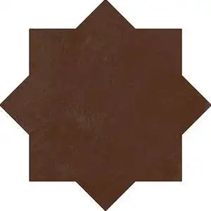 Burnt Umber Star