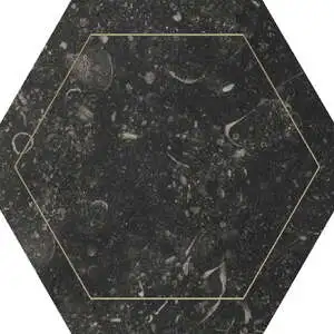 Black Hex w/ Gold Accent