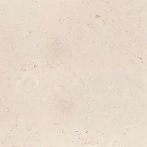 Desert Path Brushed Limestone Tile