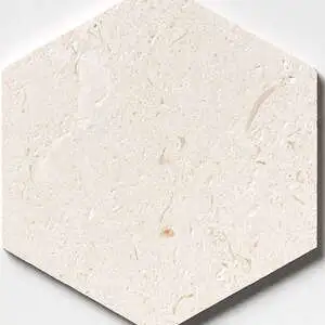 Desert Path Brushed Hexagon Limestone Mosaic