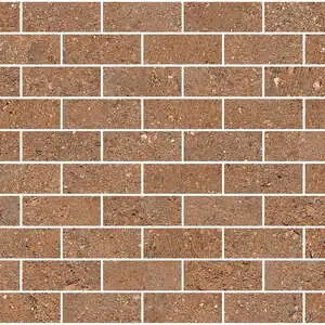 Wall Duo Back Cotto