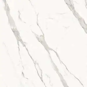 Extra Statuario Venato
