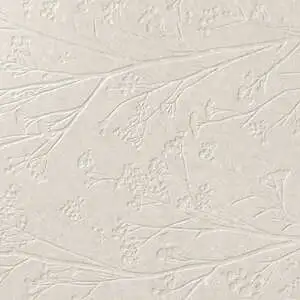 Divine Beige