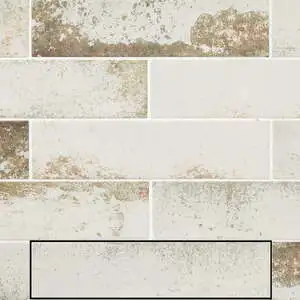 Magnetism White