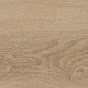 Mulhacen Oak
