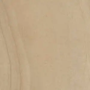 Anywhere Beige Paver